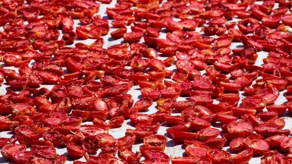 Şifa deposu kuru domates ihracatta dünya ikincisi