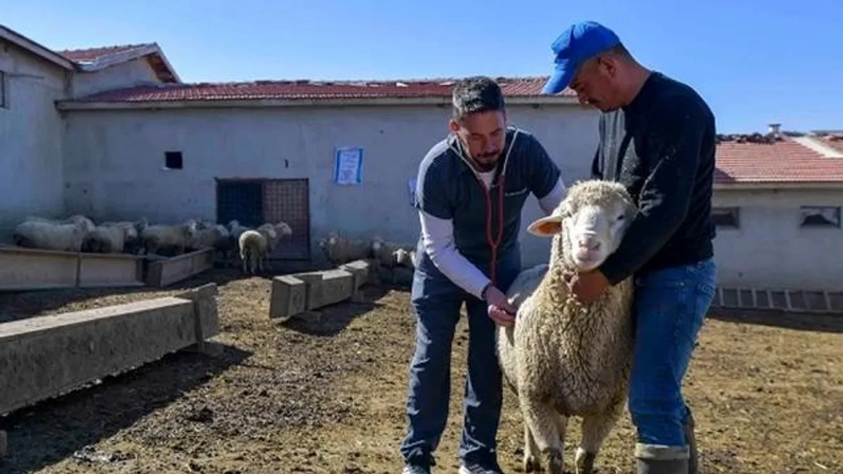 ABB’den kırsala veterinerlik hizmeti