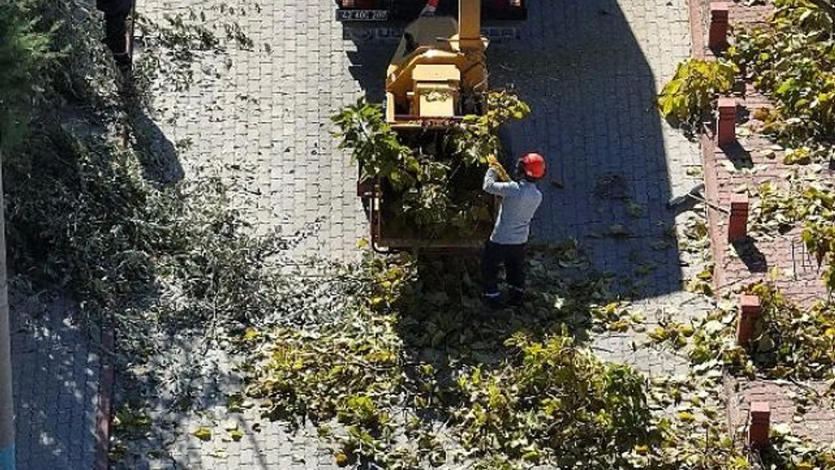 Selçuklu’da Ağaç Budama Çalışmaları Devam Ediyor