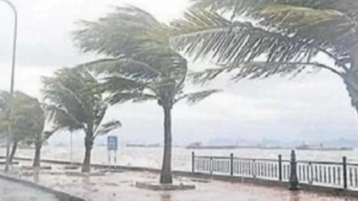 Yurt genelinde yağış ve rüzgar uyarısı