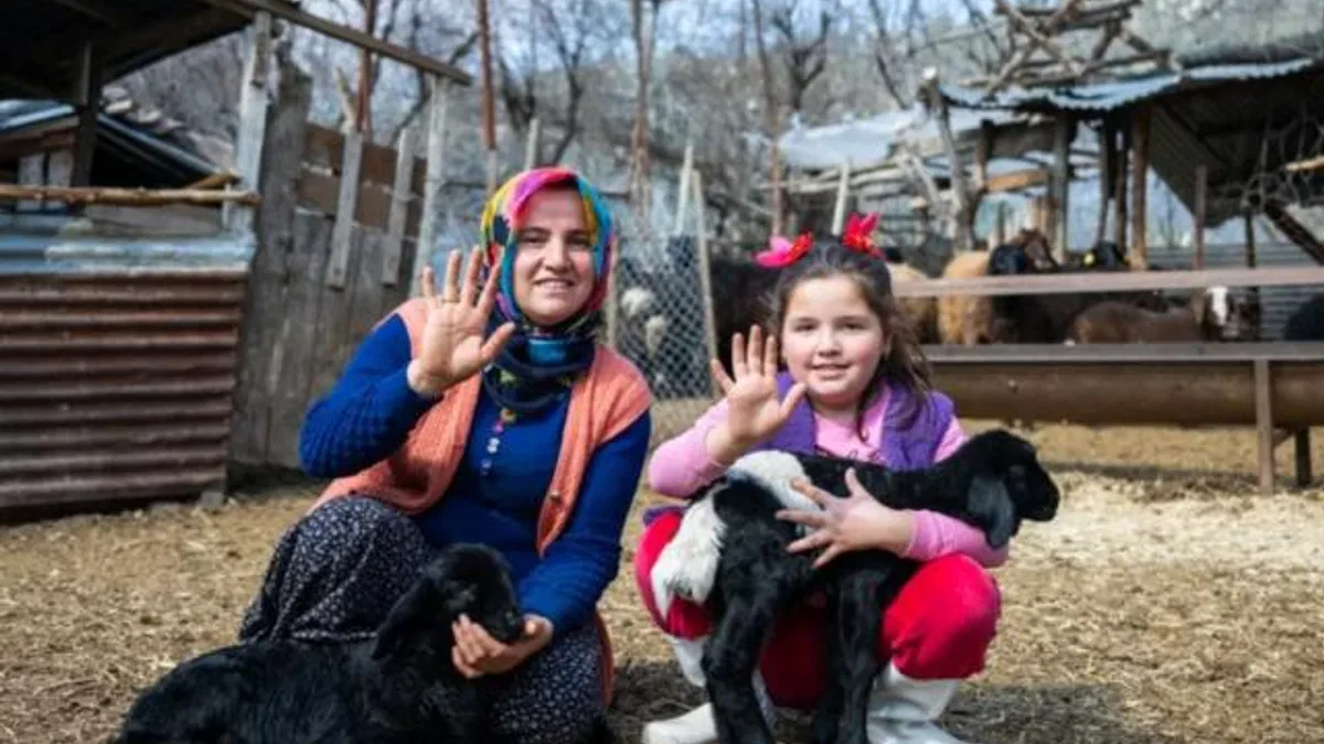 300 yetiştiriciye 7 bin 500 küçükbaş hayvan desteği