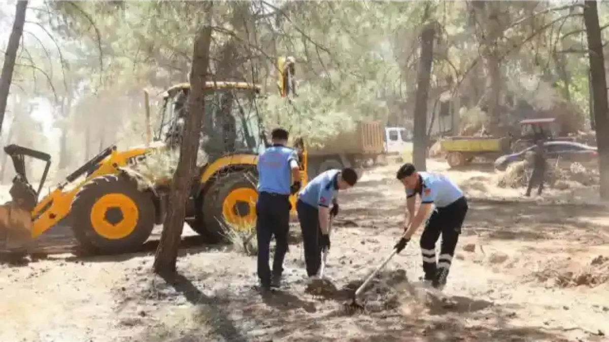 Gaziantep’te orman yangınlarına karşı seferberlik