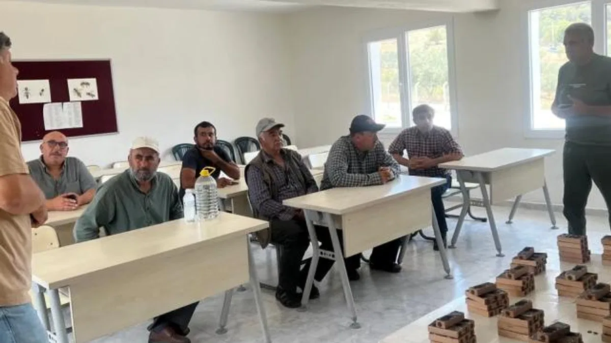 Manisa Büyükşehir’den üreticilere ana arı desteği