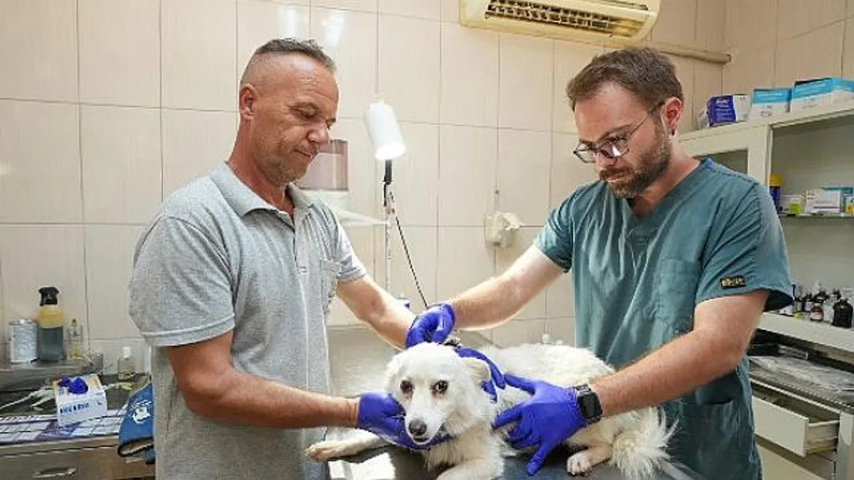 Gaziemir Belediyesi’nden 6 bin 222 can dosta şefkat eli