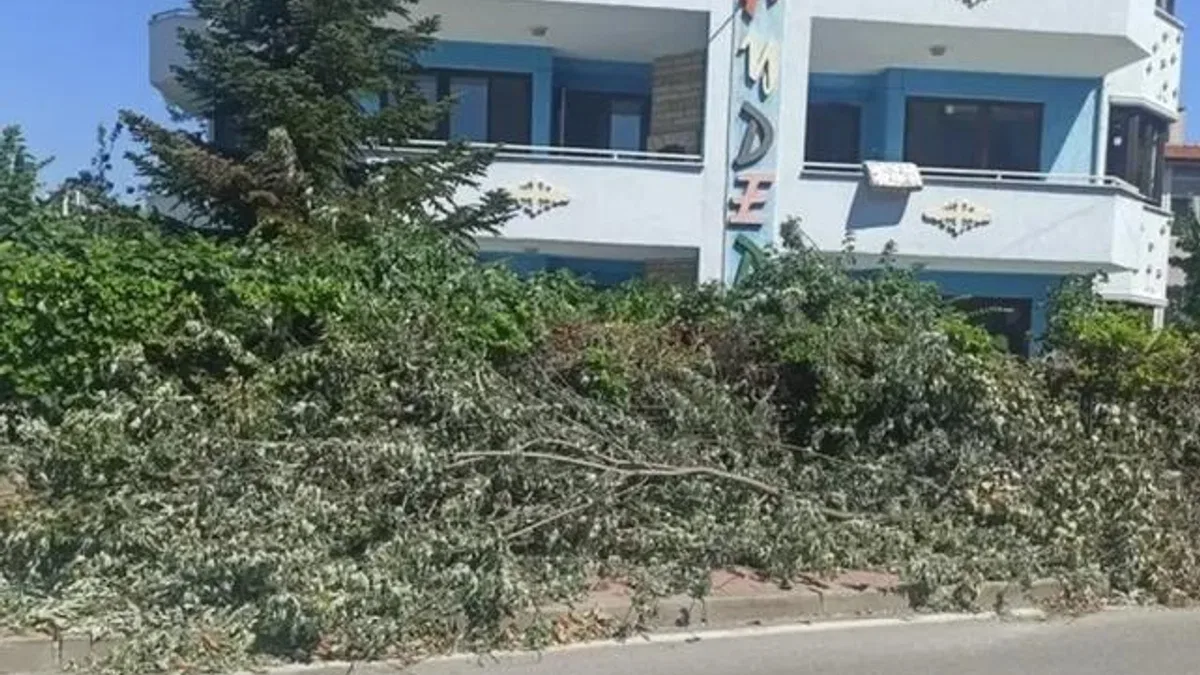 Çamlıca Mahallesi’nde kesilen ağaçlar trafiği engelliyor