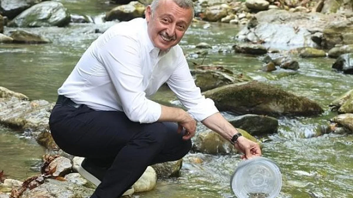 İzmit Körfezi’ne 6 bin balık daha salınacak