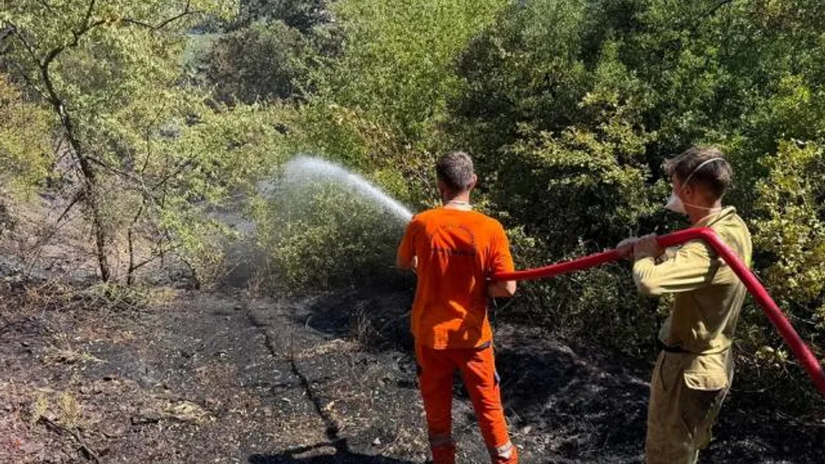 Sakarya Adapazarı’ndaki orman yangını kontrol altında