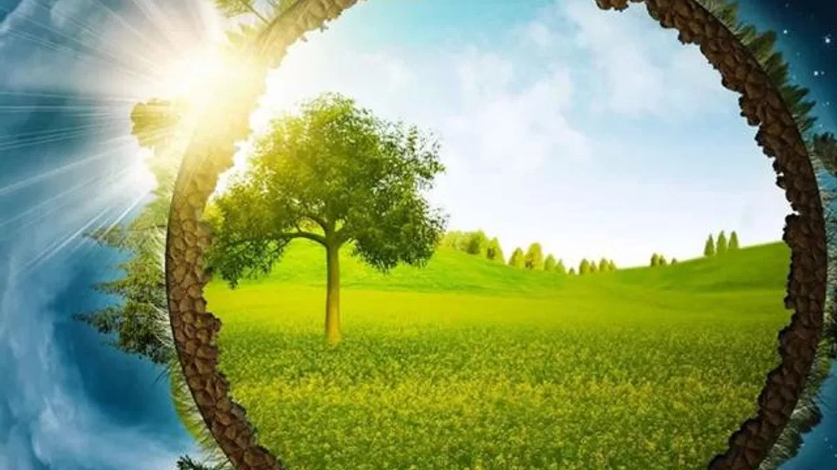 ÇED sürecinde yeni kriterler… Enerji ve madencilik projelerine yeni kurallar