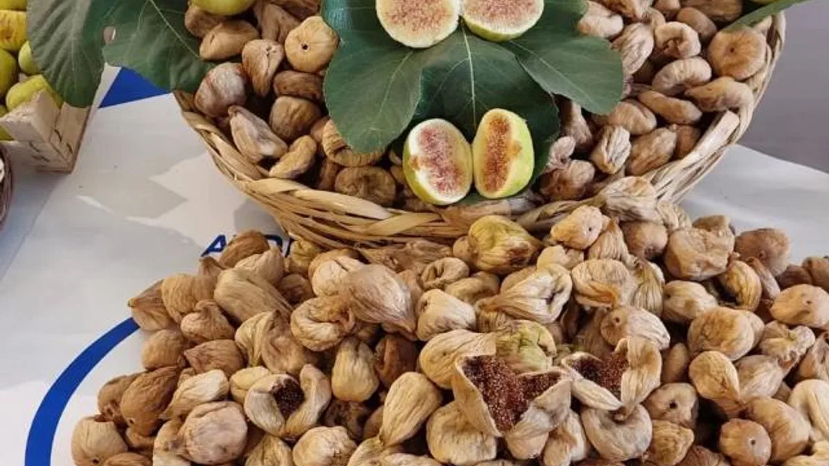 Kuru incir ihracatında yüzde 12’lik artış
