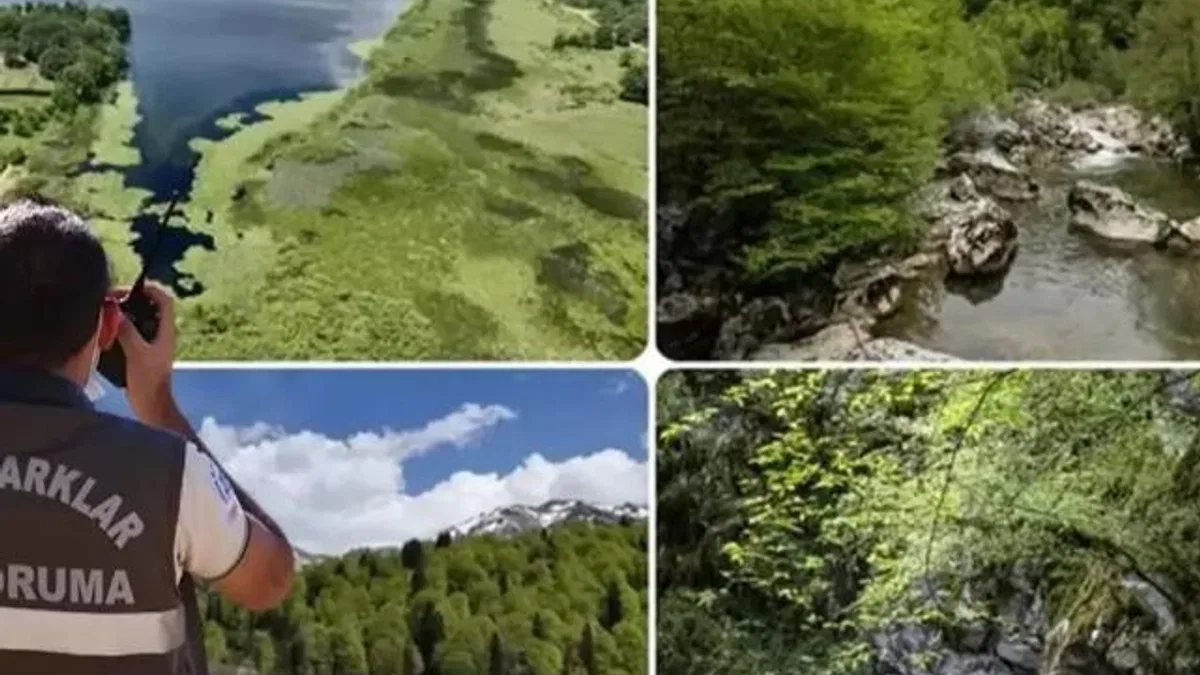 Doğa Koruma ve Milli Parklar Uzmanlığı için ‘tez’ zorunluluğu