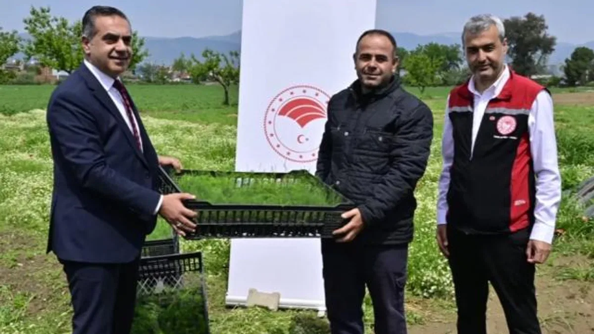 17 bin fide üreticilere teslim edildi