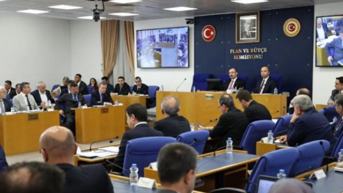 Kripto varlıklara ayar geliyor