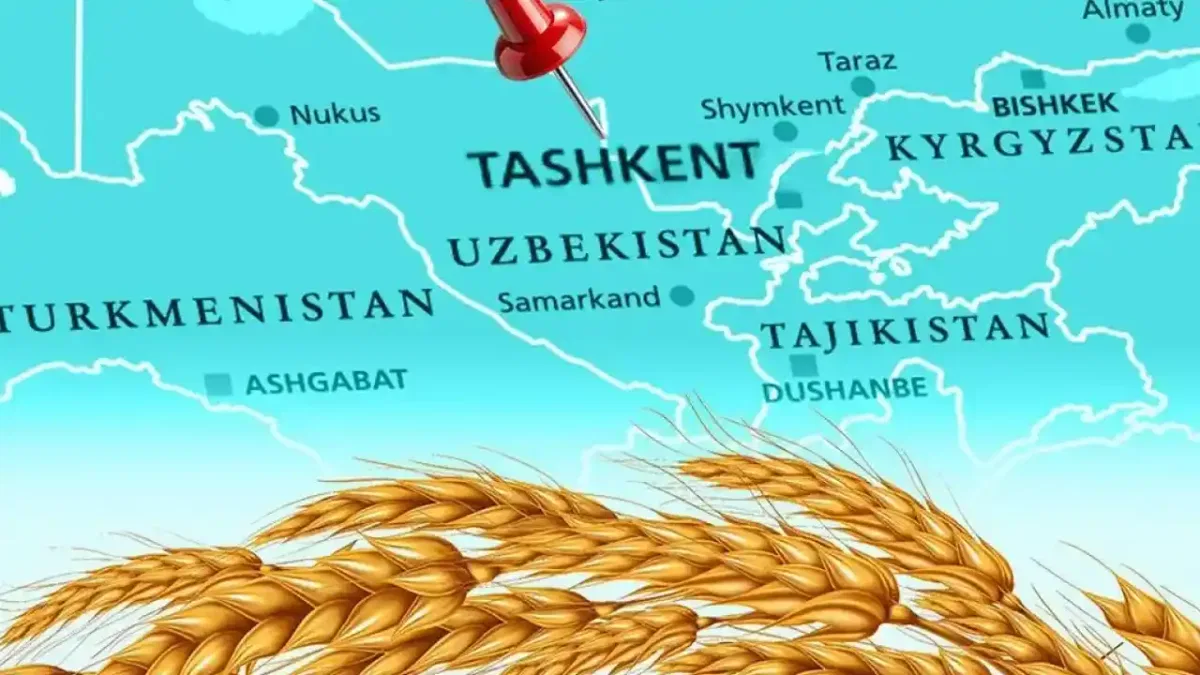 Türkiye un ihracatında 12. şampiyonluk hedefini koydu… Tahıl sektörü Taşkent’te buluşuyor
