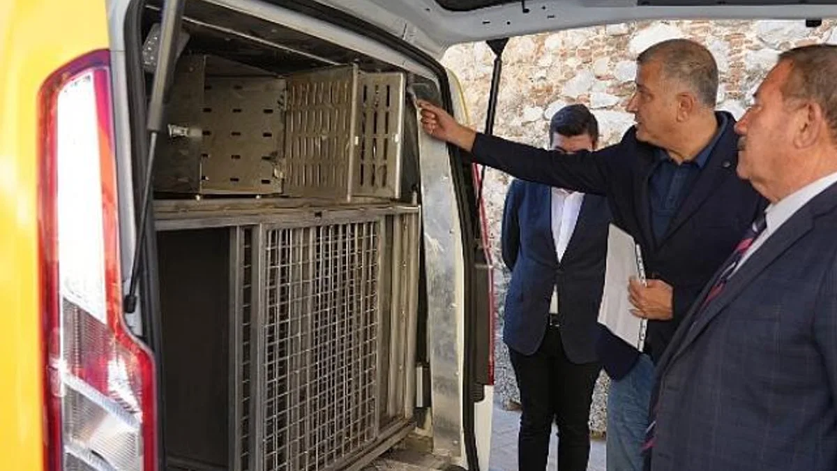 Milas Belediyesi Can Dostlarımızın Yardımına Koşuyor