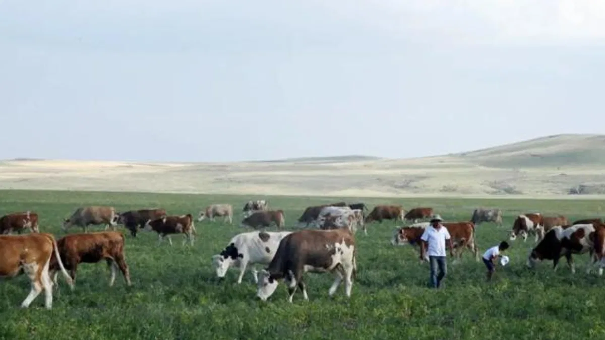 Kars Ani’de meralar yasaklandı mı? Açıklama geldi
