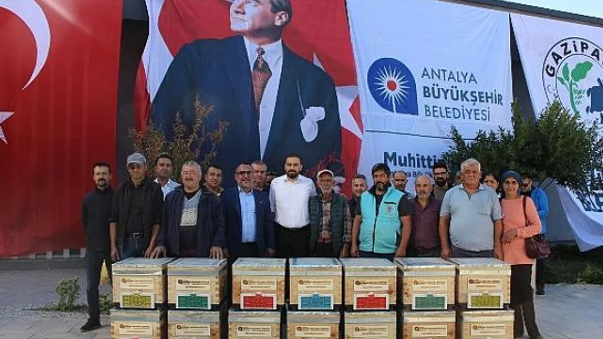 Büyükşehir’den Gazipaşalı arıcılara kovan desteği