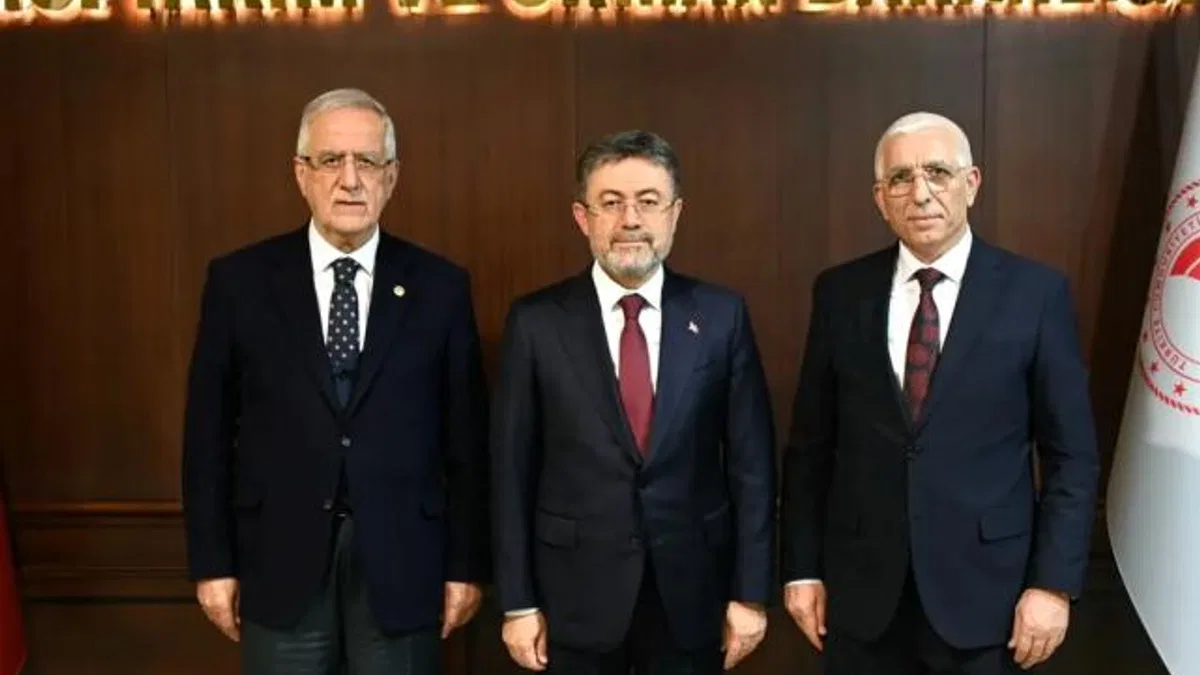 Marmarabirlik: Dane zeytine prim desteği kaldırılmamalı! Bakan Yumaklı’ya rapor sunuldu
