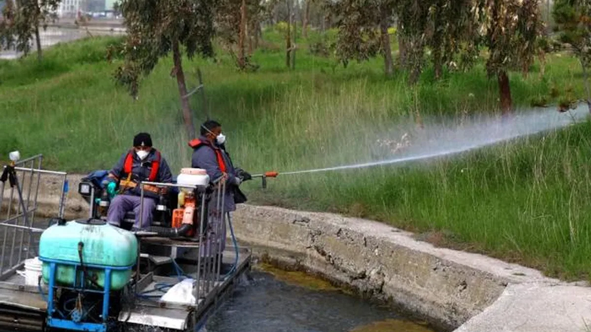 İstanbul’da sivrisinekle mücadelede önlemler arttı