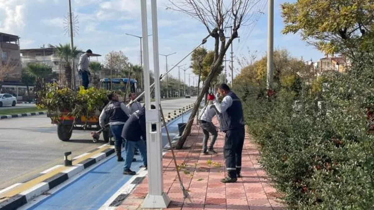Manisa’da budama çalışmaları sürüyor