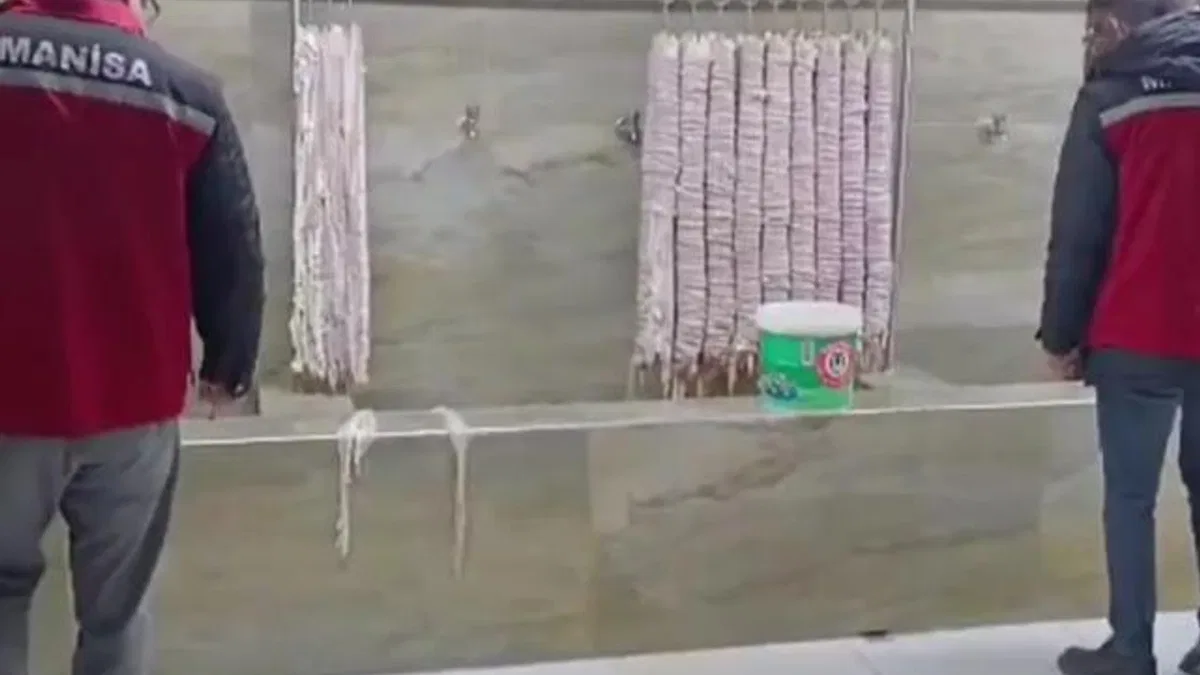 Manisa’da 4 milyon TL’lik bozulmuş kokoreçe imha!