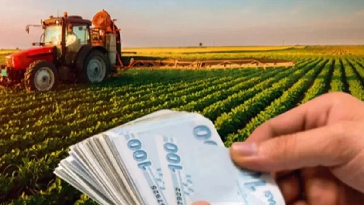 Çiftçilere 149,6 milyon TL’lik destek ödemesi hesaplarda