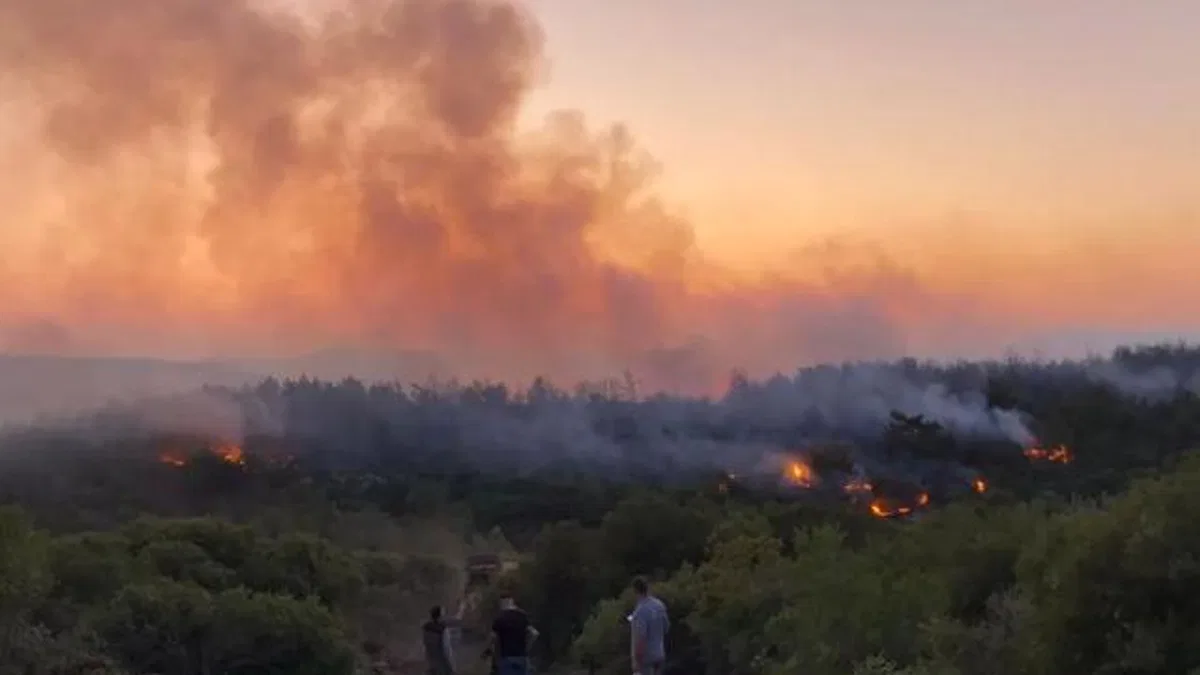 Urla’da yangın kontrol altına alındı