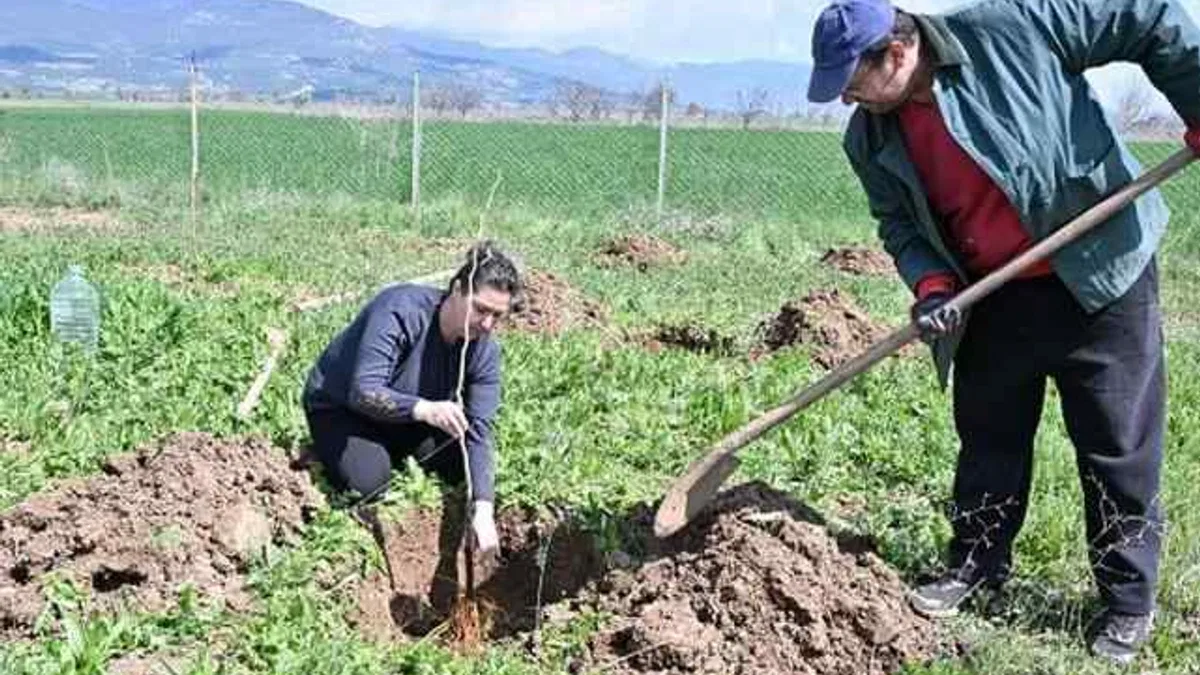 Antalya Büyükşehir ipek böceği yetiştiriciliğini yaygınlaştırıyor