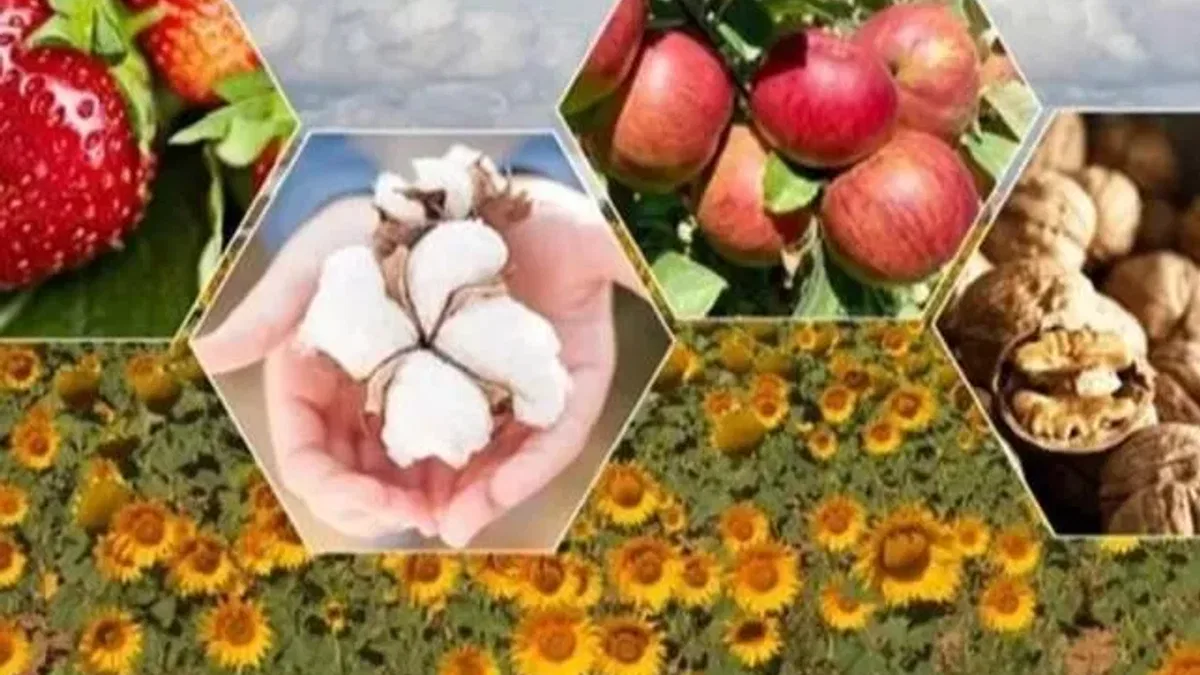 2026’da bitkisel üretimde büyük artış bekleniyor