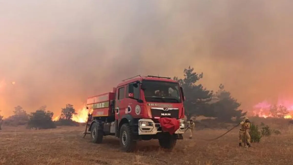 Bakan Yerlikaya’dan 5 günlük yangın raporu: 7 gözaltı, 3 tutuklama