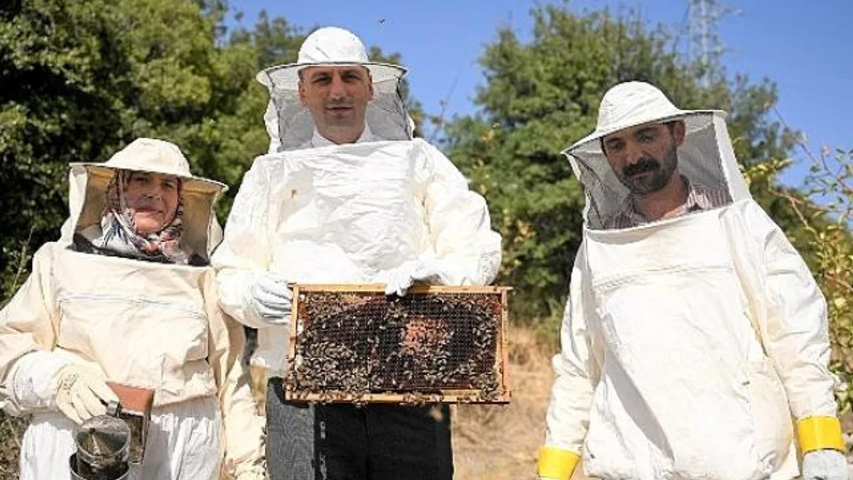 Bornova’da bal gibi proje