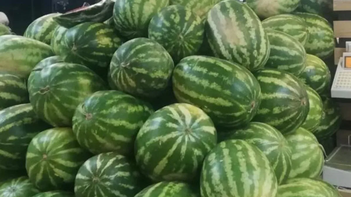 Karpuzda üretici-market farkı yüzde 613,8… Üreticide 1,18, markette 8,42 TL!