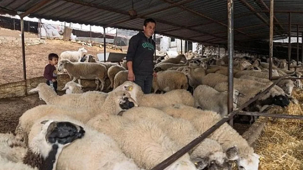 Yangın mağduru çiftçilere 225 ton yem desteği
