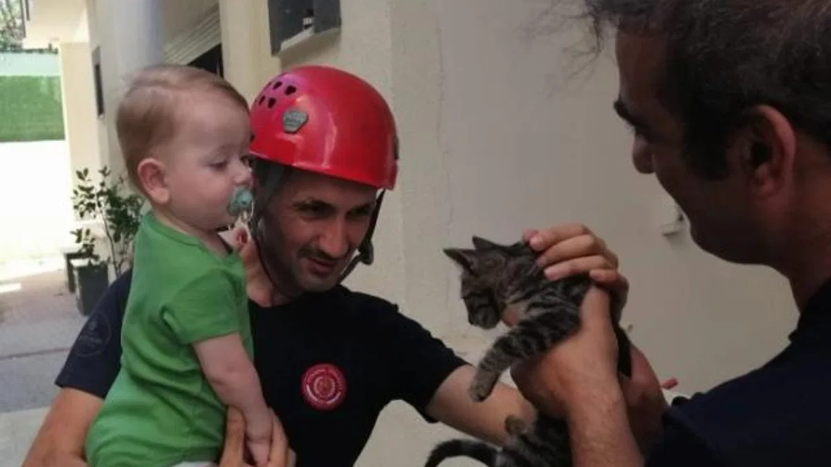 En çok kediler kurtarıldı… İstanbul’da 5 ayda 6 bin hayvan kurtarıldı