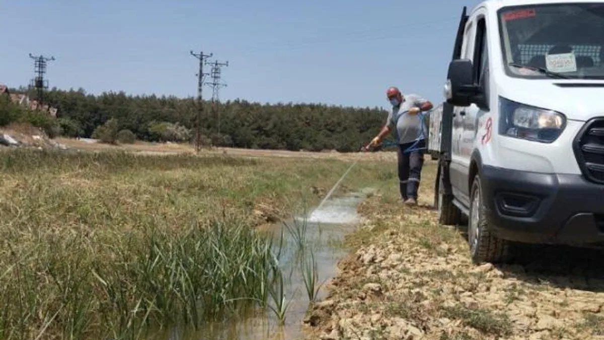 Veterinerlik İşleri Müdürlüğü larvasit mücadelesini sürdürüyor