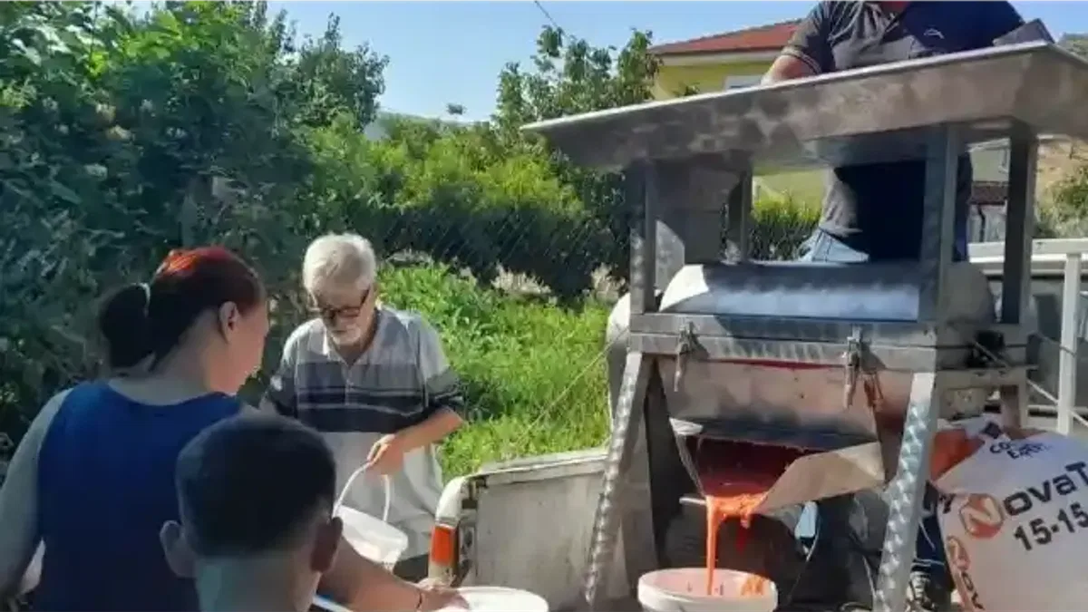 İzmir Efes Selçuk’ta kışlık domates hazırlığı