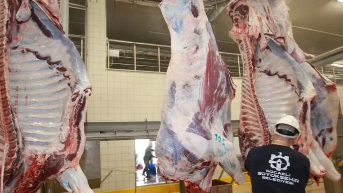Kocaeli’de sağlıklı ve güvenilir etin adresi Belediye Mezbahası
