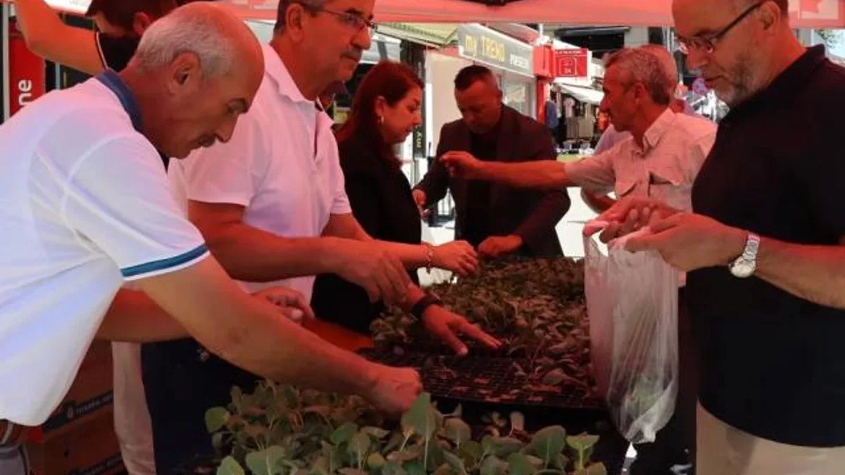 İzmit’ten vatandaşlara fide hediyesi