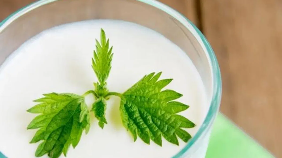 Ramazan’da susuz kalmayın… Süt ve ayran hidrasyonun gizli kahramanları