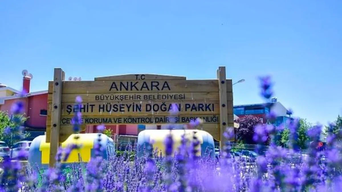 Başkent Ankara yazın lavanta kokuyor