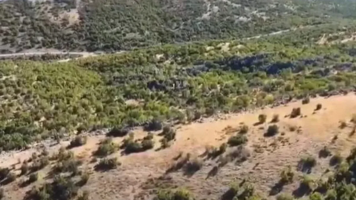 Adıyaman’da kaybolan 52 küçükbaş hayvan jandarma tarafından bulundu