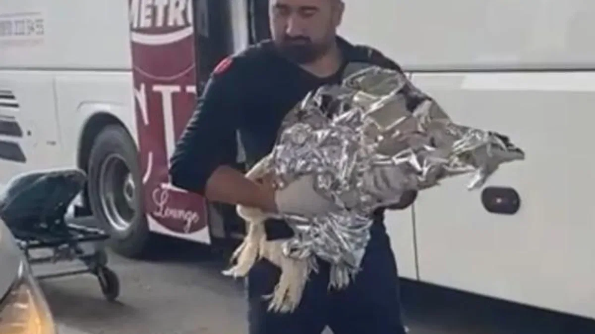 Düzce Terminali’nde otobüste doğum yaptı
