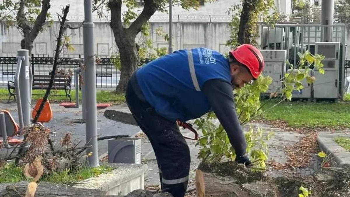 İstanbul Bakırköy’de teke böceğine karşı etkin mücadele