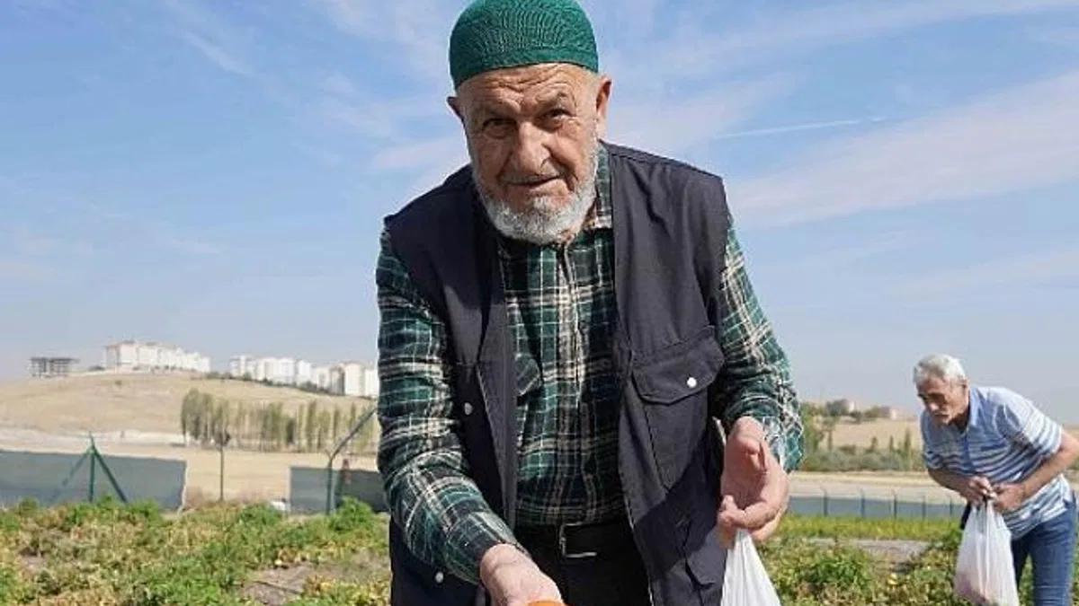 Bostanın Son Hasadı Huzurevi Sakinlerinden