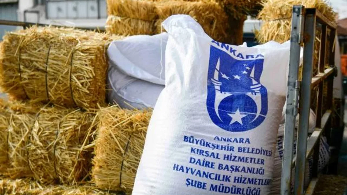 Ankara’da mandacılara yüzde yüz hibeli yem desteği