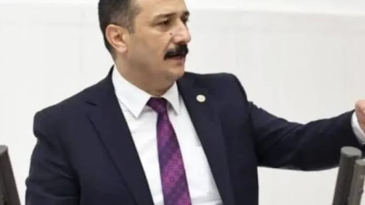 Bursa’nın “doğa incisi Longoz” neden kaderine terk edildi?