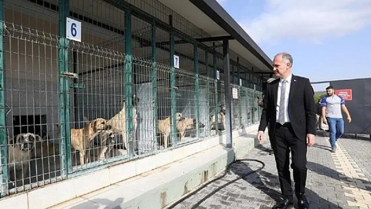 İnegöl’de Sokak Hayvanları İçin Yeni Adımlar Atılıyor