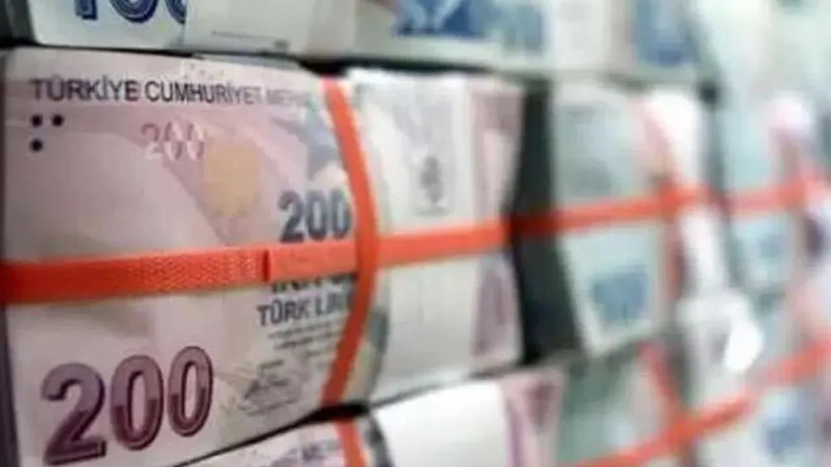 TL mevduatı 11,5 trilyon liraya ulaştı