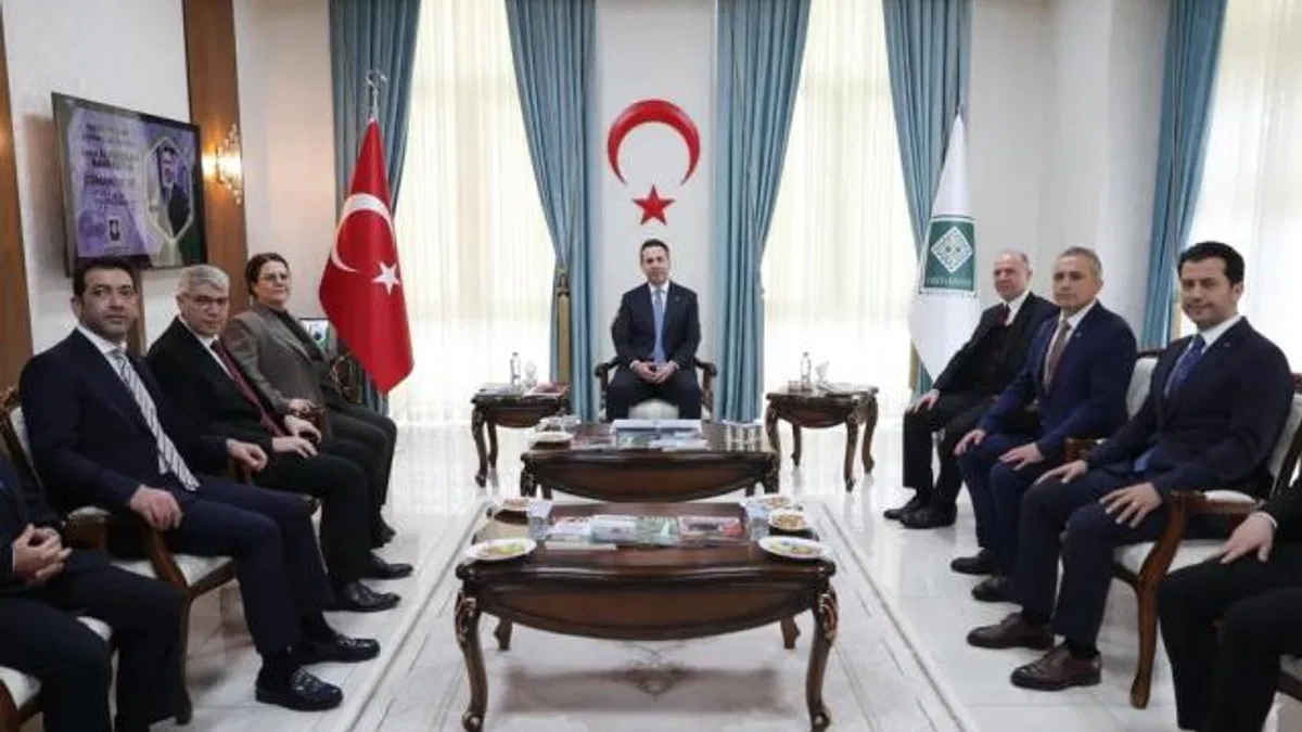Doğal gaz ve elektrik faturasının yarısı devletten