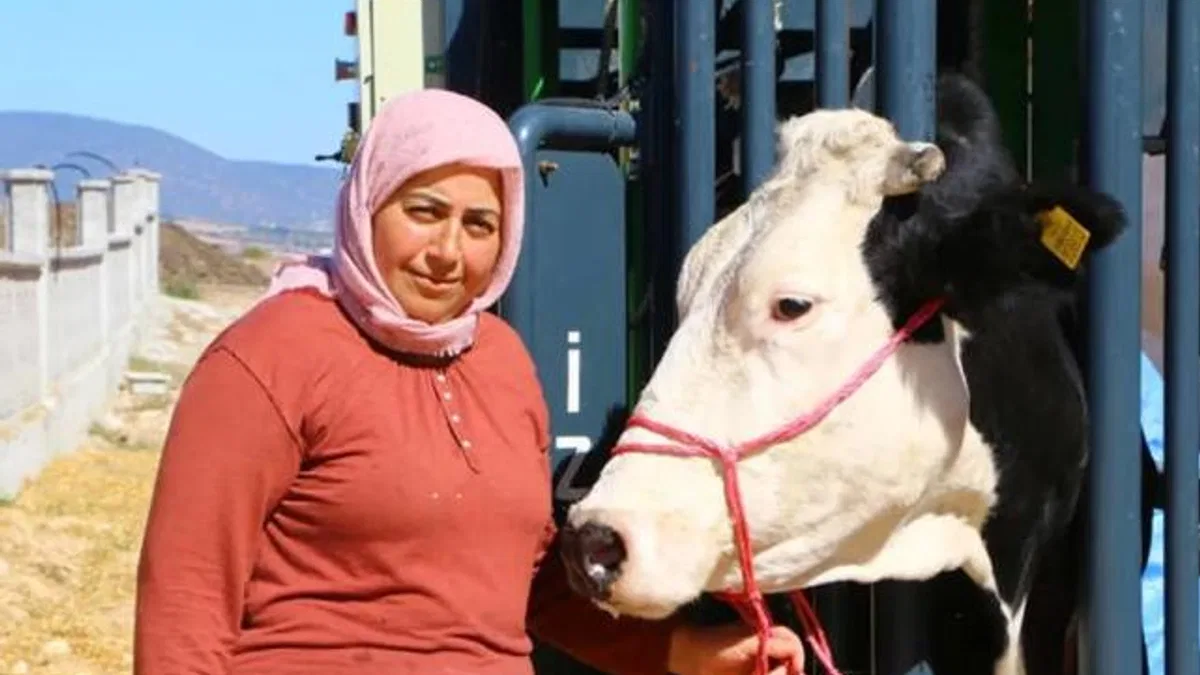 Antalyalı hayvan üreticisine belediyeden destek