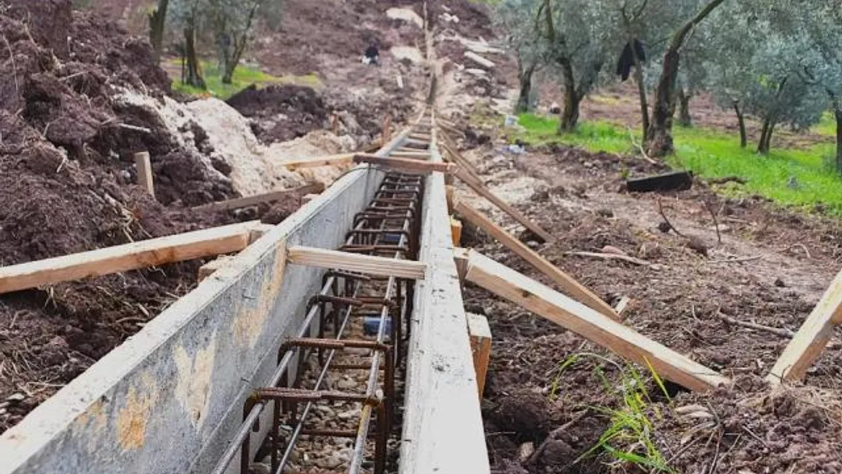 Patili canlar yeni yuvalarına kavuşuyor